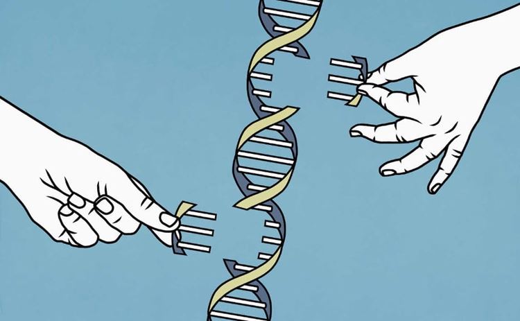 What are Some Pros And Cons About the Impact of Genetics in the Future: Insights