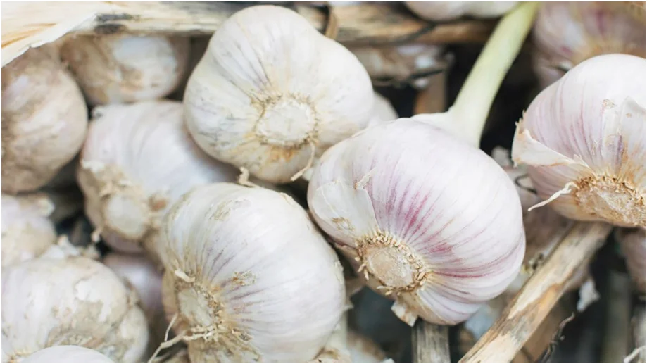 Fresh garlic bulbs and cloves resting on a wooden surface, symbolizing natural health and cooking.

